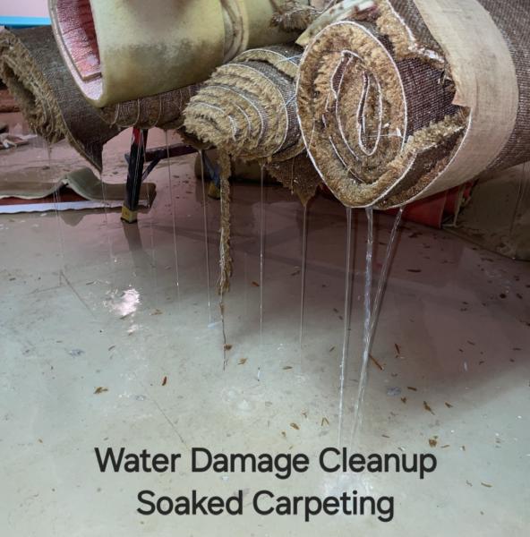 Safer Home Services LLC