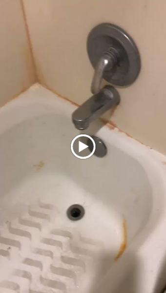 Fast Cleaning Services Park City Llc