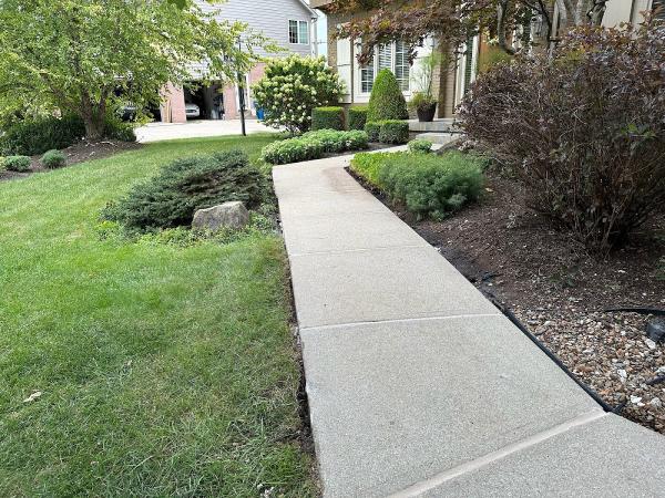 Levelup Concrete Solutions