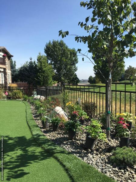 Residential Landscape