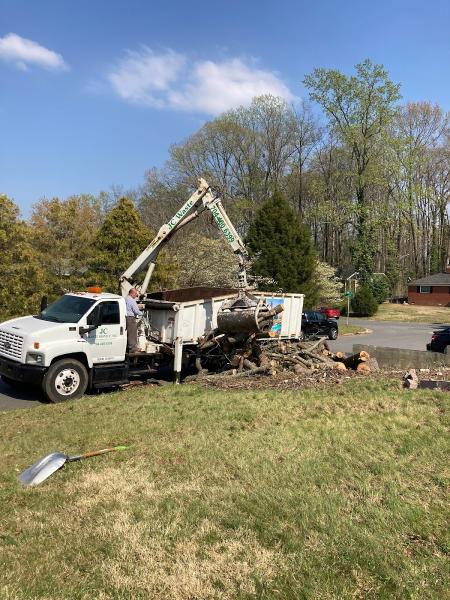 Top Line Tree Service LLC