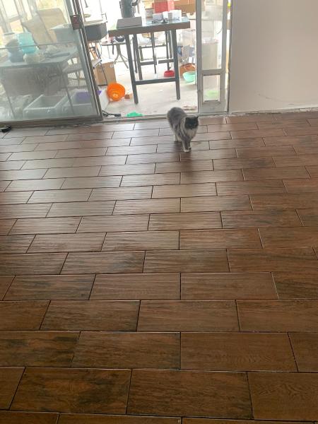 Atlas Floor Care