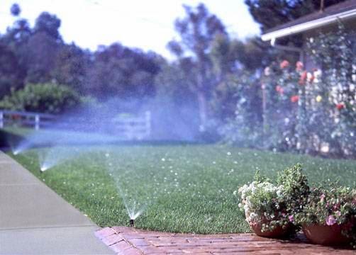 CCS Sprinkler