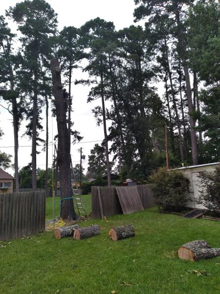 Hardy Tree Care