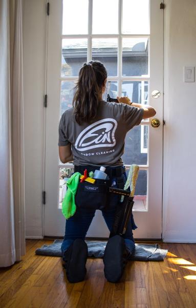 Fin Window Cleaning