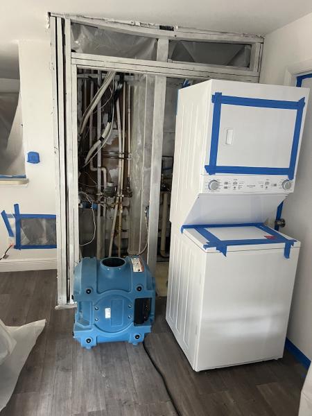 Rapid Mold Inspection