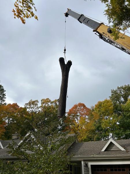 Voit's Tree Service