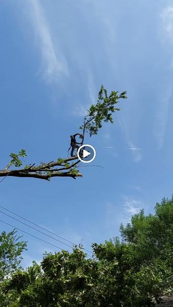 C&L Landscaping