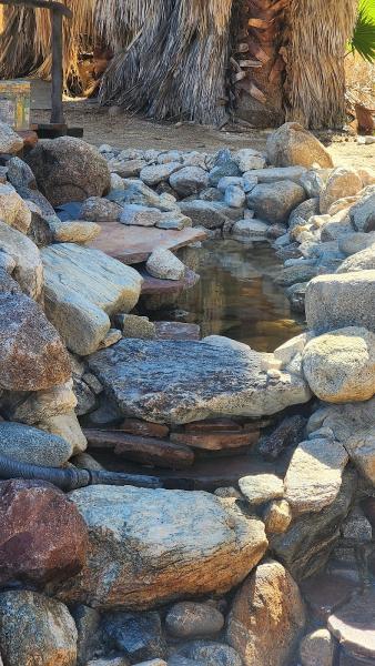 Arizona Pool & Pond Company