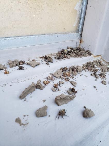 Proactive Pest Management