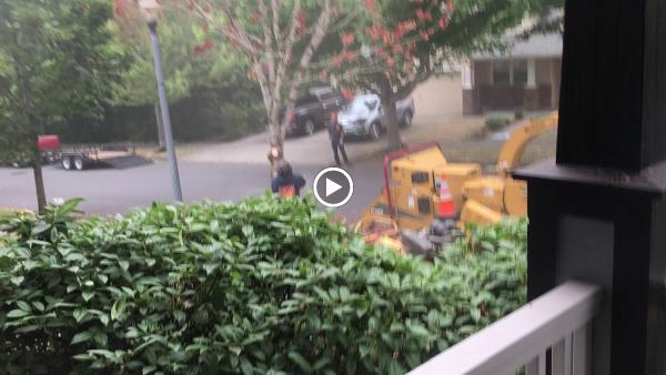 Cascade Tree Works