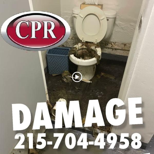 CPR Restoration & Cleaning Service LLC