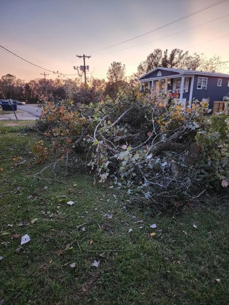 RIP Tree Services