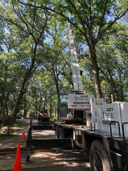 Gills Tree Service