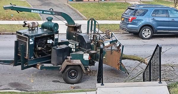 Nuemann's Tree Co.