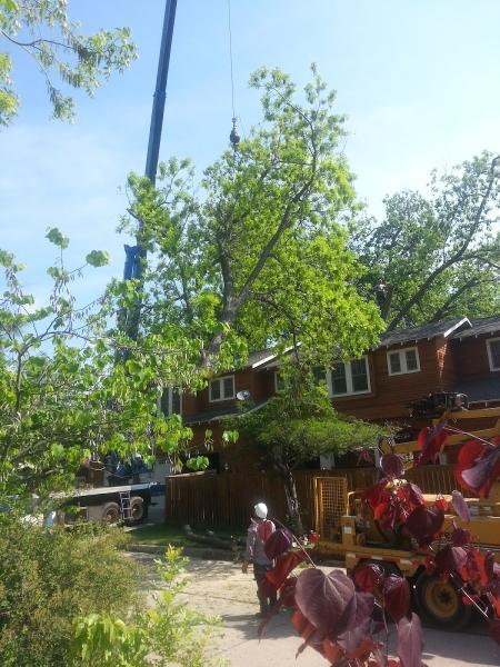 Tip Top Crane & Tree Service