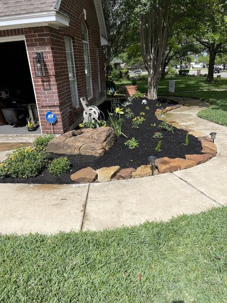 Texas Hedge 2 Edge Tree Service