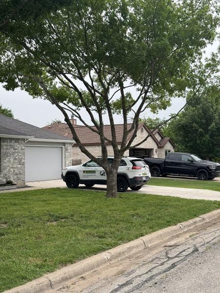 Texas Hedge 2 Edge Tree Service
