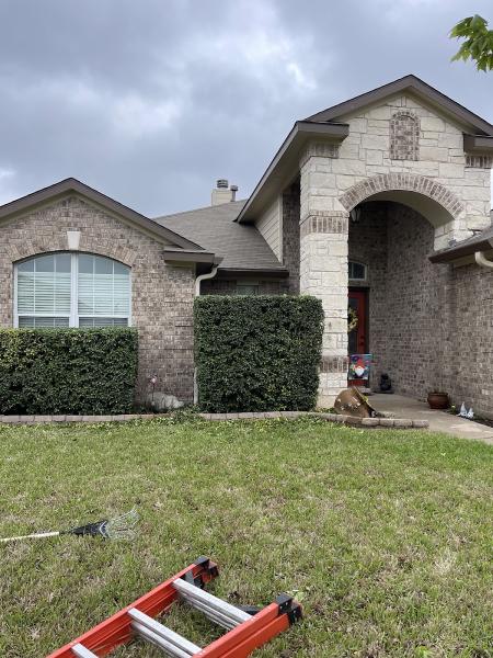 Texas Hedge 2 Edge Tree Service