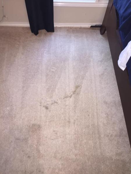 Tejas Carpet