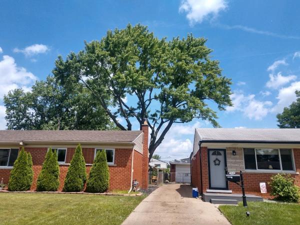 Frank Jastrabek's Tree Service Inc