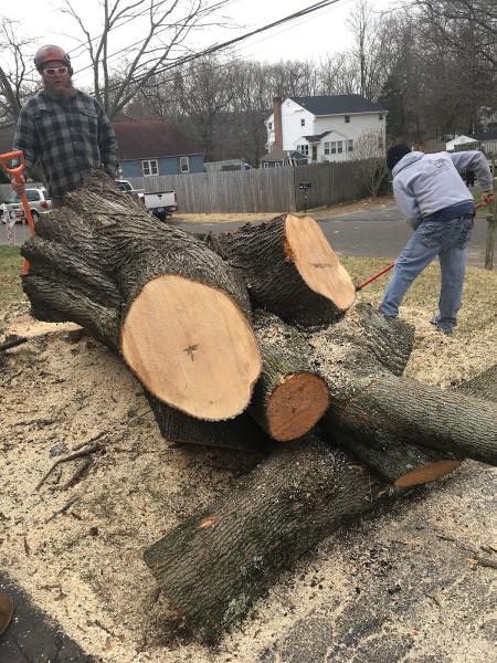 Jandreau's Tree Services