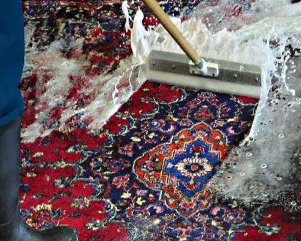 Rug Joy
