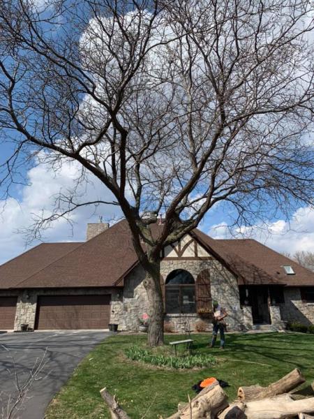 Brother's Tree Care