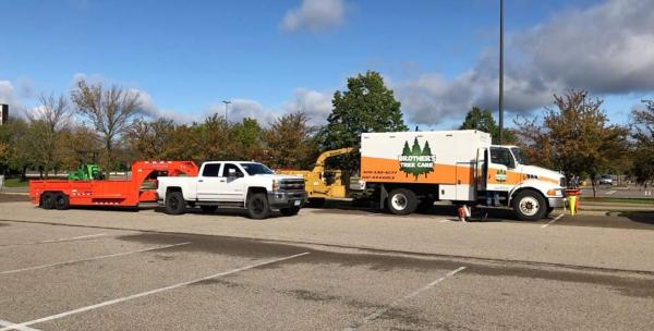 Brother's Tree Care