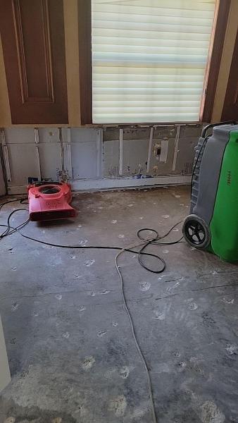 QCI Mold and Water Damage