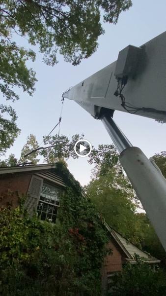 Outdoor Exposure Tree Service