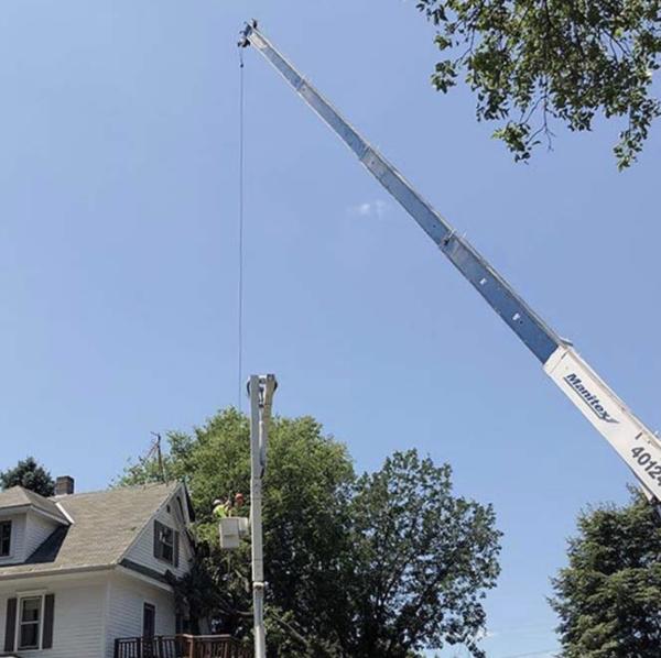 Outdoor Exposure Tree Service