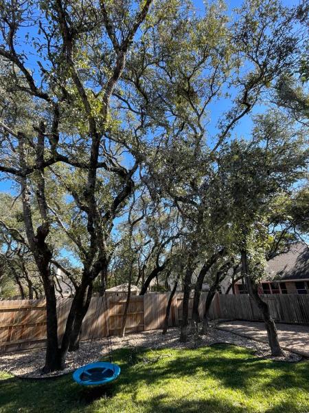 Beny's Tree Service