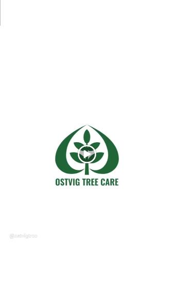 Ostvig Tree Care