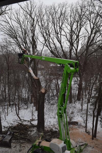 Ostvig Tree Care