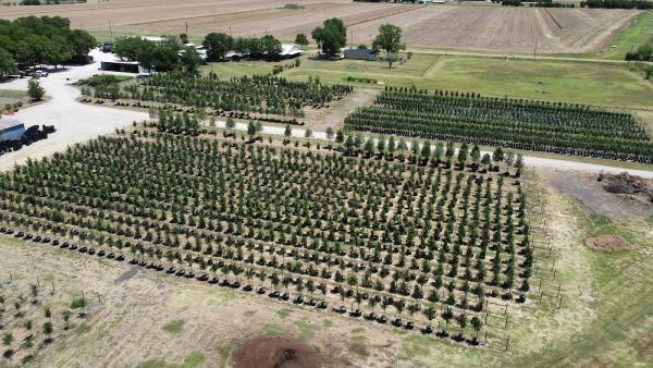 Gates Tree Company