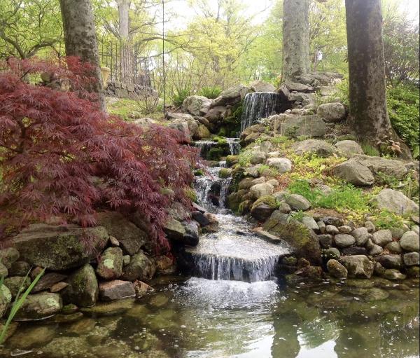 Loglisci Water Gardens LLC
