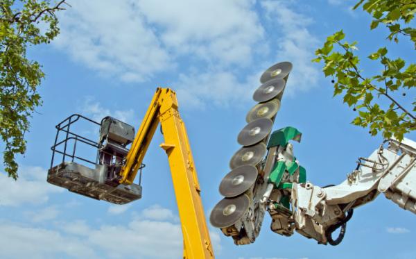 Lone Pine Tree Service