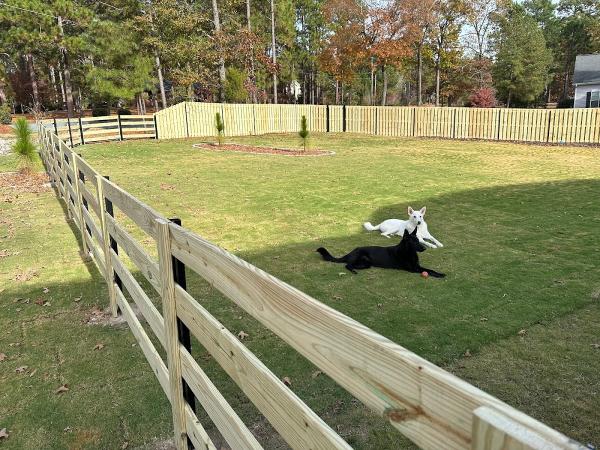 Southern Fencing