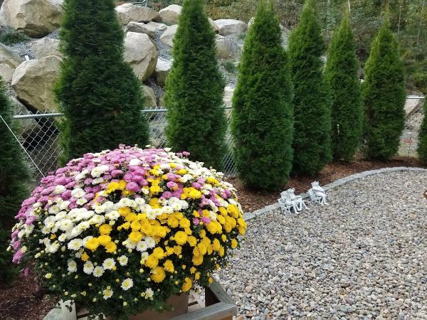West Meadow Landscaping