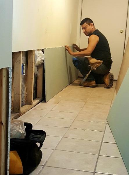Tomas Painter & Handyman