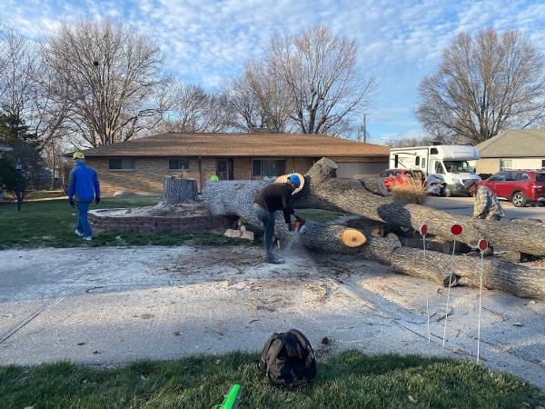 Omar Tree Services LLC