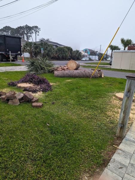 Arbor Tree Care