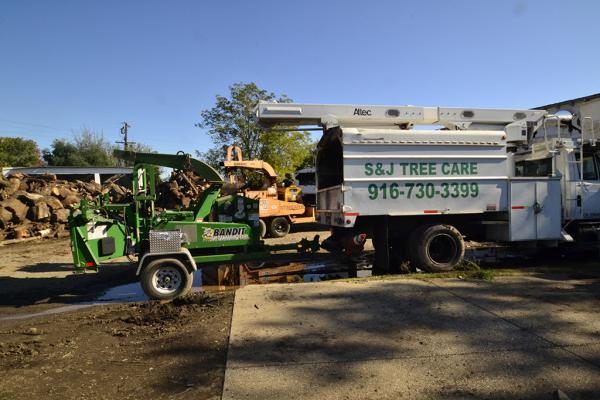 S & J Tree Care