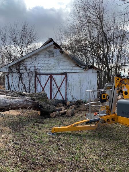 Just-n-Time Tree Service