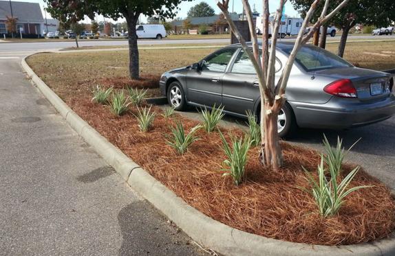 Dig It Landscaping and Irrigation