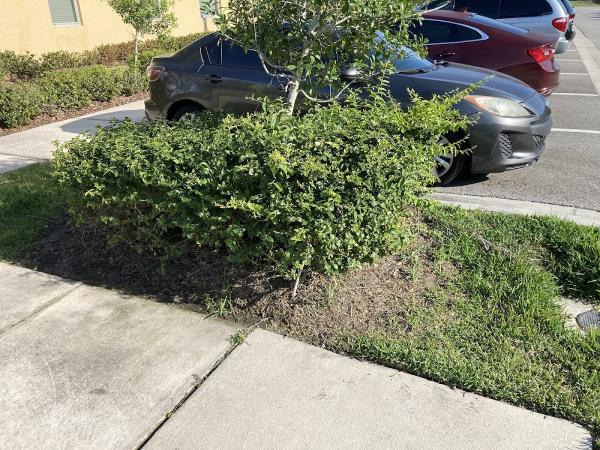 Homeriver Group Tampa Property Management