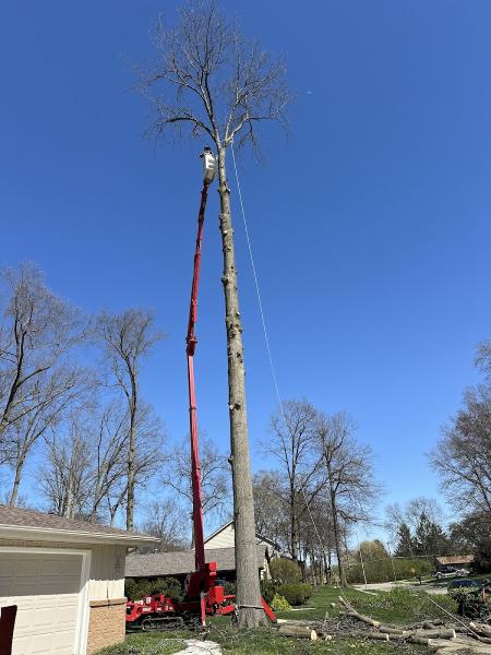Infinity Outdoor Services