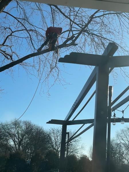 Gutierrez Treeworks Inc.