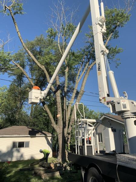 Gutierrez Treeworks Inc.